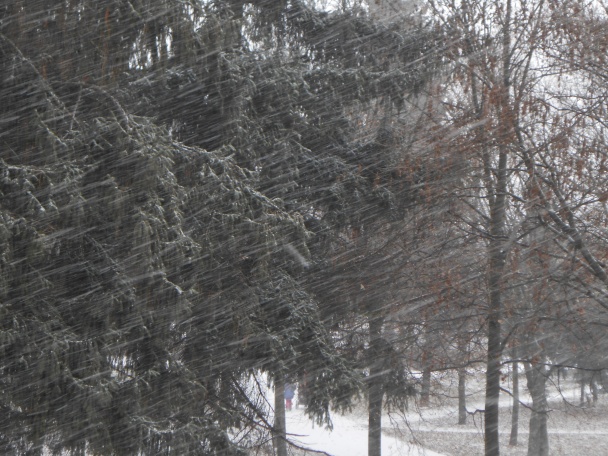 Lepené viedenské koláčiky Spitzbuben bezlepkové (fotorecept) - obrázok 6