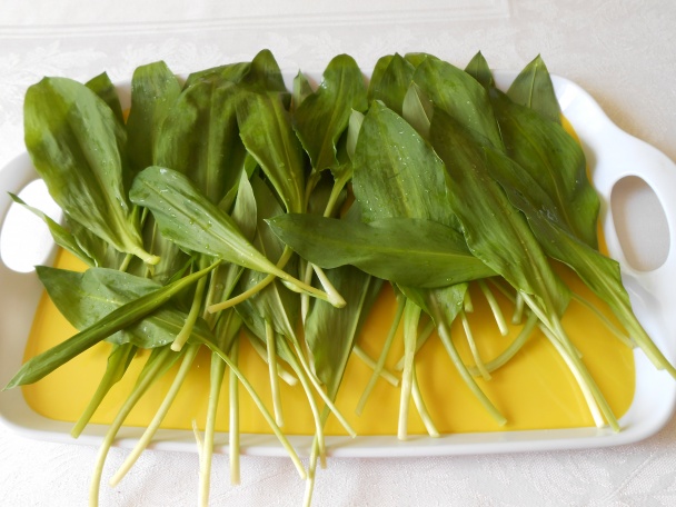 Medvedí cesnak - raňajky, obed, večera (fotorecept) - obrázok 1