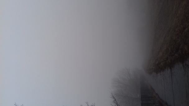 Chrenový šalát s bandurkami - obrázok 1