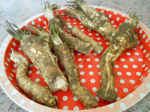 Chrenový šalát s bandurkami - obrázok 2