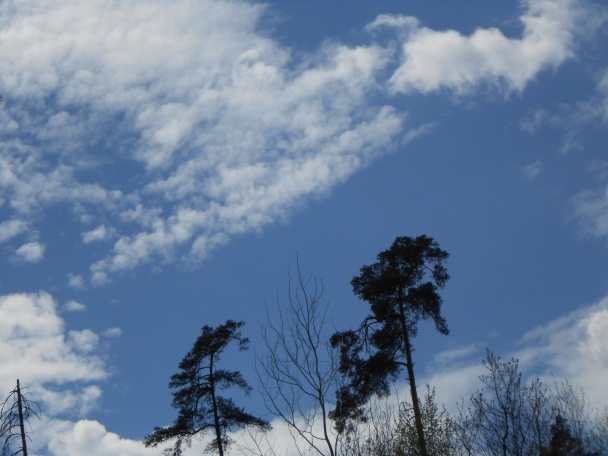 Veľkonočná spišská švencelina - obrázok 4