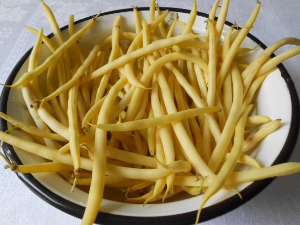 Žltá fazuľka restovaná na cibuľke (fotorecept) - obrázok 1