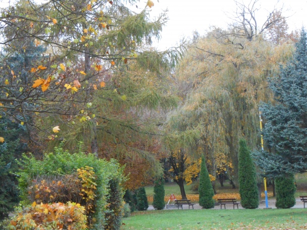 Kuracie plátky pečené v rúre (fotorecept) - obrázok 6