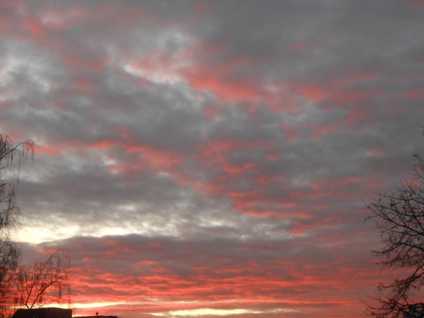 Židovský závin bezlepkový (fotorecept) - obrázok 6