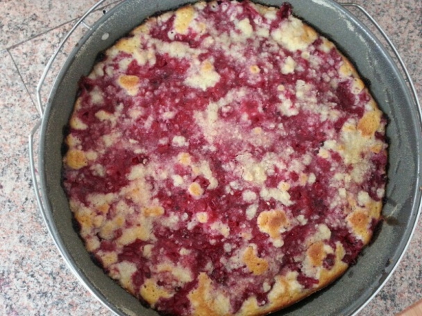 Ríbezľovo jogurtový koláčik - obrázok 5