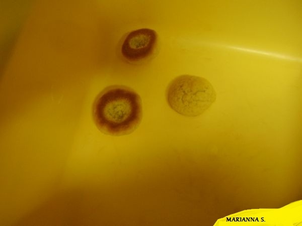 Broskynky- nepotrebujete formičky - obrázok 4