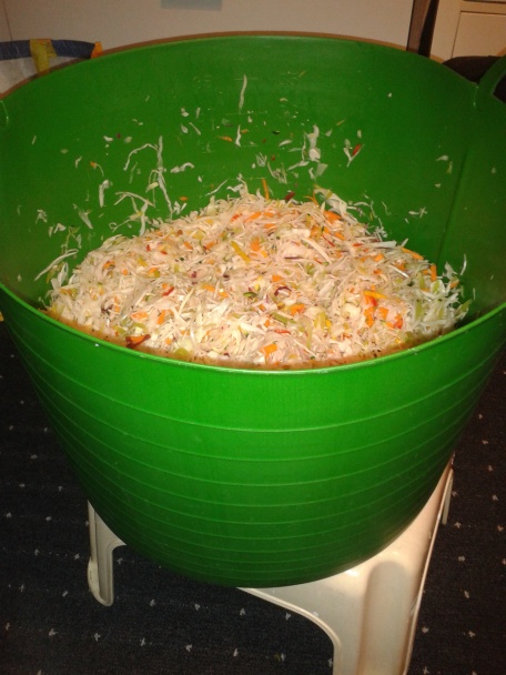 Domáca čalamádka - obrázok 2