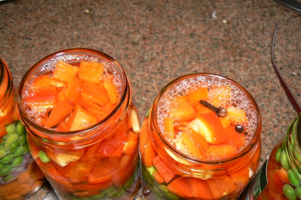 Moravanka (fotorecept) - obrázok 3