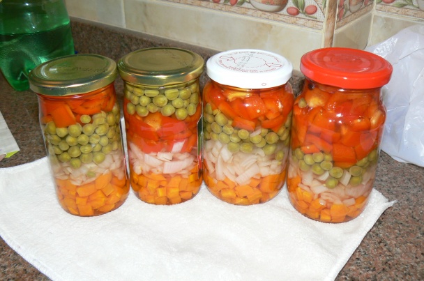 Moravanka (fotorecept) - obrázok 5