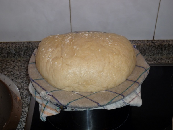 Domáca kysnutá knedľa - obrázok 6