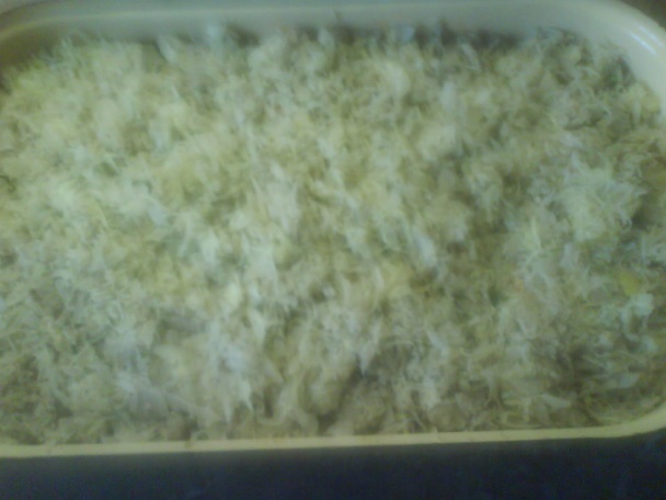 Koložvárska kapusta - obrázok 3