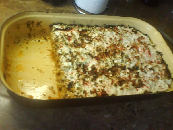 Koložvárska kapusta - obrázok 5