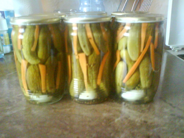 Nakladané - sterilizované uhorky - obrázok 5
