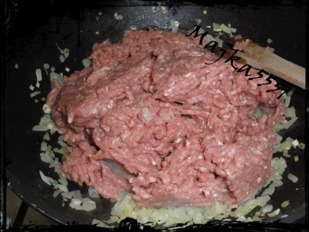 Špagety ala MMR (fotorecept) - obrázok 3