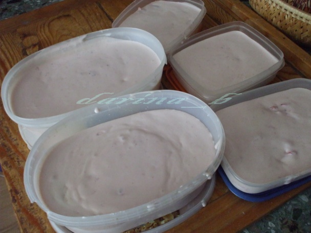 Domáca tvarohová zmrzlina s jahodami - obrázok 9