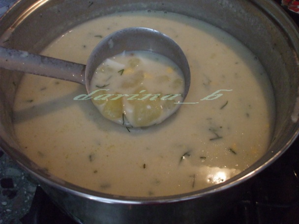 Zemiaková polievka so syrom - obrázok 6