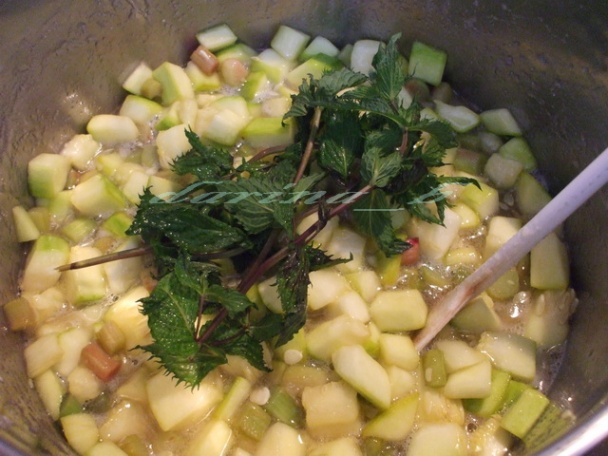 Cuketovo - rebarborový džem s mätou - obrázok 4