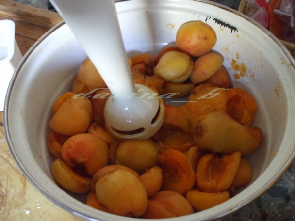 Domáca marhuľová zmrzlina - obrázok 1