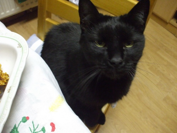 Chips nugetky - obrázok 12