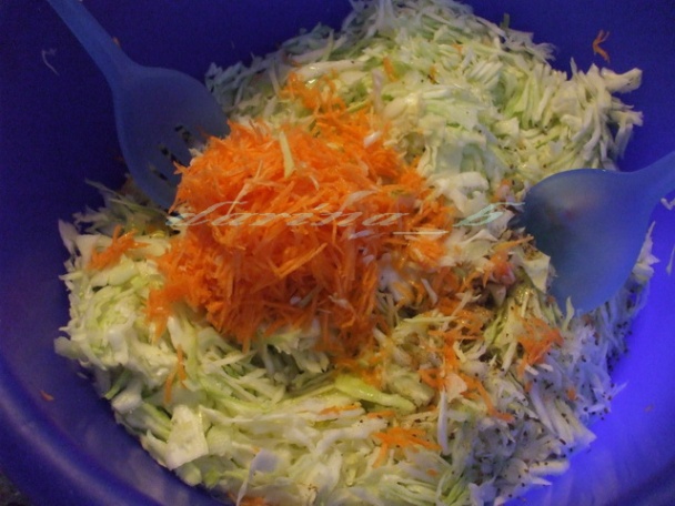 Jednoduchý kapustový šalát - obrázok 2