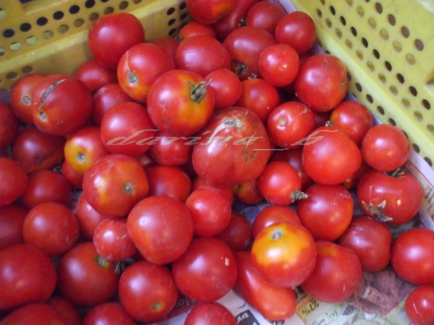 Lečo na zimu ako polotovar do jedál - obrázok 1