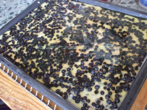 Tvarohovo - pudingové rezy s ovocím - obrázok 5