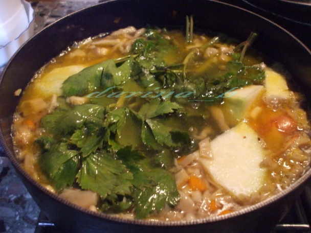 Zeleninová polievka s hlivou a pšenovými haluškami - obrázok 2