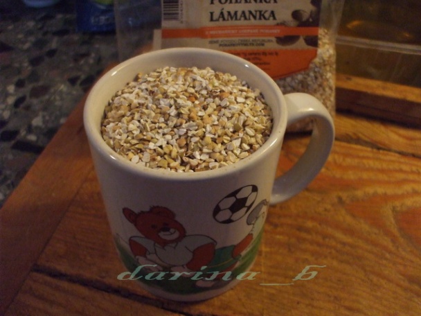 Pohánkovo-hlivové fašírky  - obrázok 1