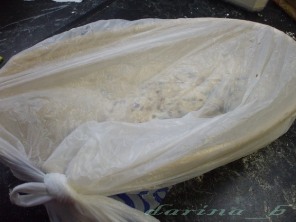 Špaldovo-kváskový chlieb so záparou (fotorecept) - obrázok 9