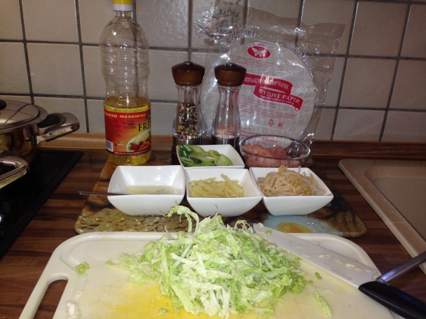 Spring rolls - obrázok 1