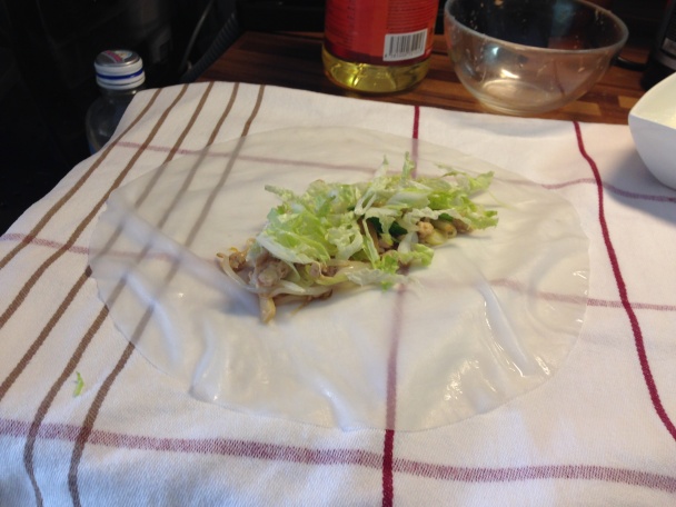 Spring rolls - obrázok 5