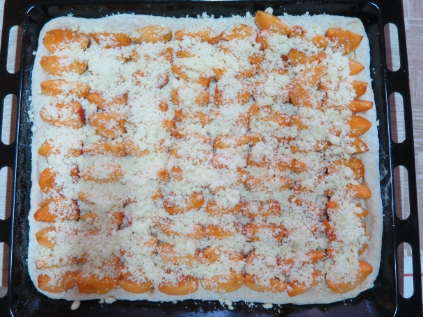 Marhuľový posúch zo špaldovej múky s posýpkou - obrázok 1