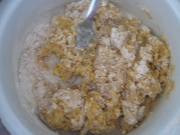 Marhuľové clafoutis (fotorecept) - obrázok 3