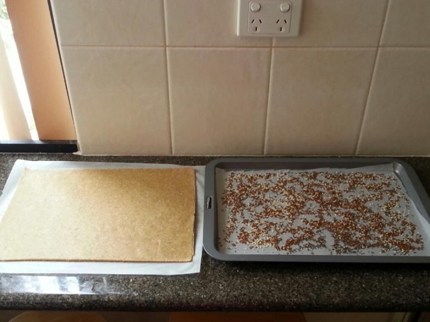 Hubovo-cibuľový slaný koláč (fotorecept) - obrázok 7