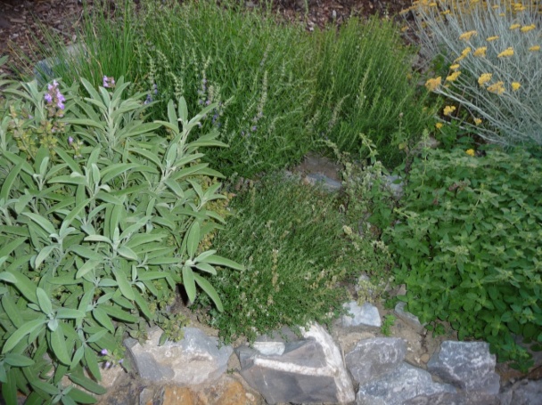 Domáce provensalské korenie (Herbes de Provence) - obrázok 1