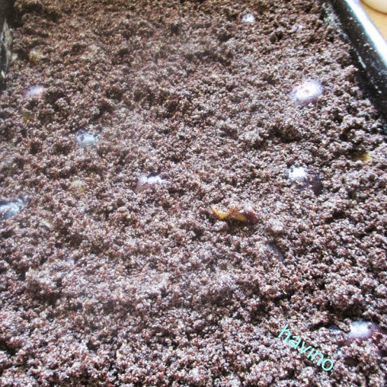 Slivkový koláč s makovou posýpkou (fotorecept) - obrázok 5