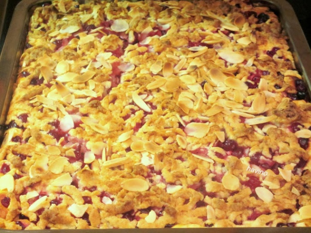 Tvarohovo-ríbezľový koláč (fotorecept) - obrázok 7