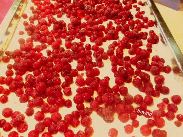 Tvarohovo-ríbezľový koláč (fotorecept) - obrázok 5