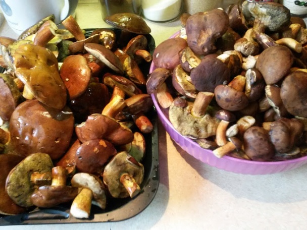 Hubové lečo (fotorecept) - obrázok 4