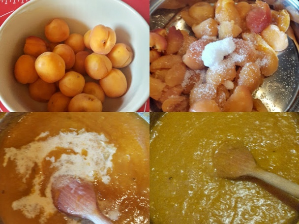 Marhuľový páj (fotorecept) - obrázok 2