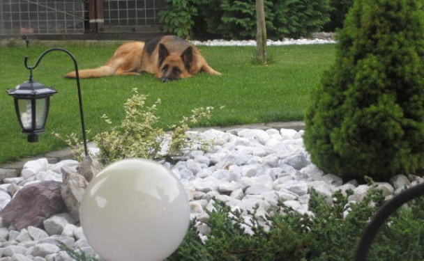 Jednoduchý hrnčekový ovocný koláč s tvarohom a posýpkou (fotorecept)  - obrázok 7