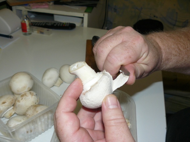 Zapečené kura s cestovinami  - obrázok 4