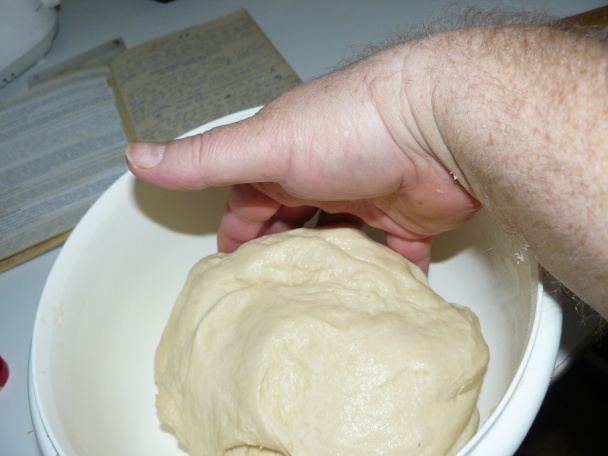 Slané kapustníky - obrázok 4