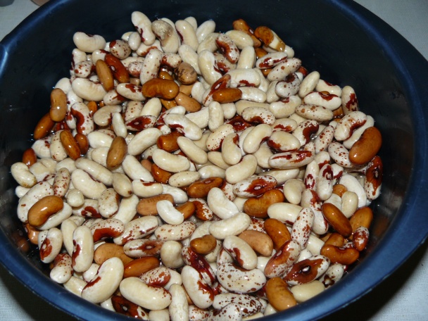 4 x fazuľa  - obrázok 1