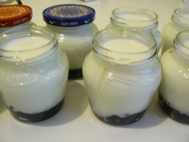 Ovocný jogurt (fotorecept) - obrázok 3