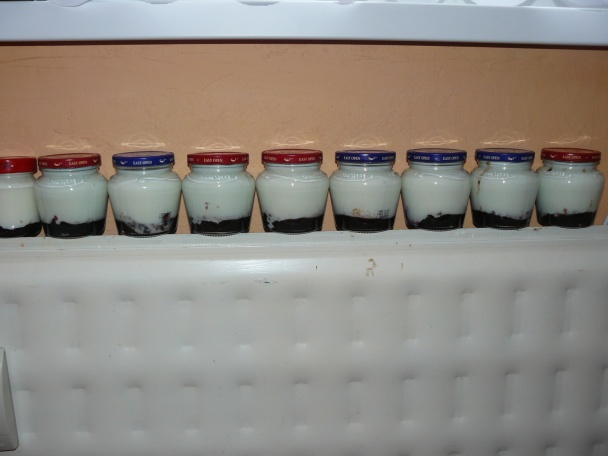 Ovocný jogurt (fotorecept) - obrázok 4