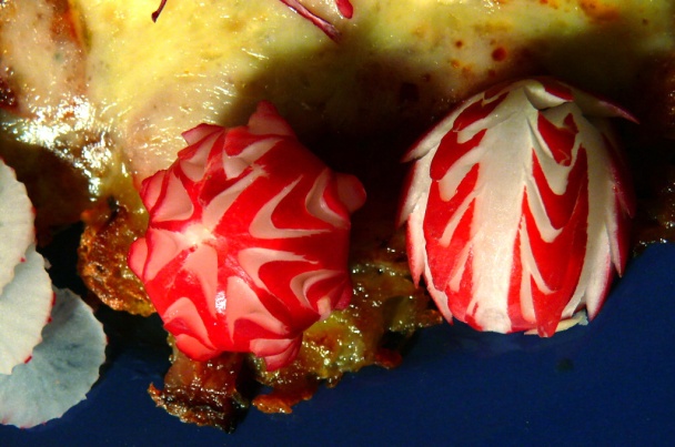 Jánošík - obrázok 3