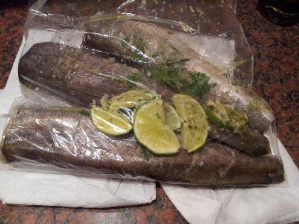 Marinovaný Heik na Grille - obrázok 3