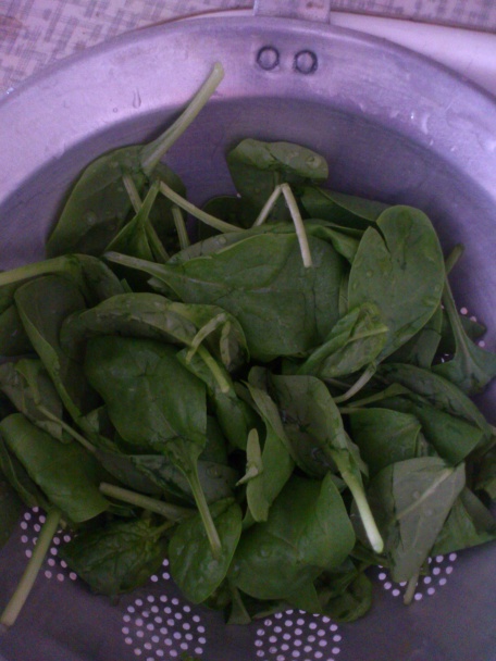 Rizoto z trhu - obrázok 4