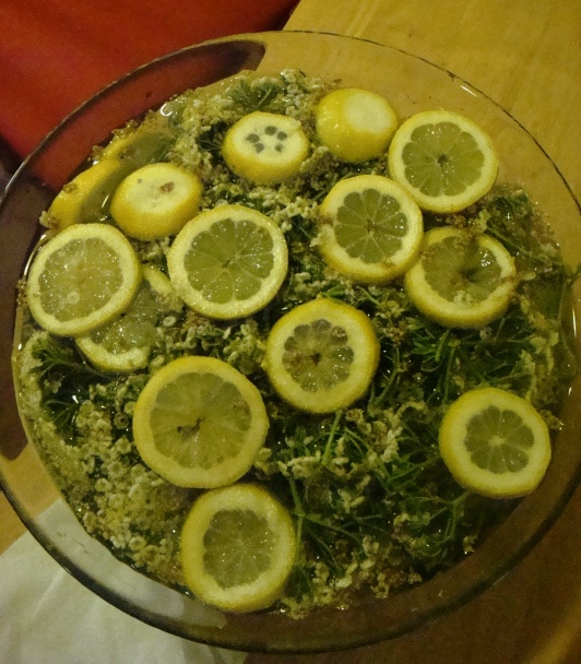 Bazový sirup  - obrázok 2